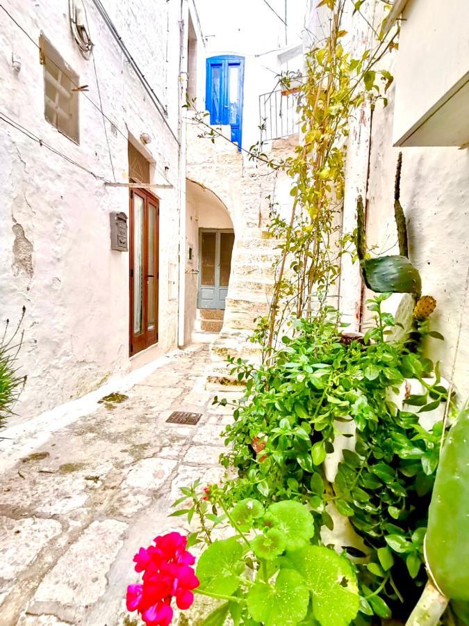 White Stone- La Terrazza Holiday home *