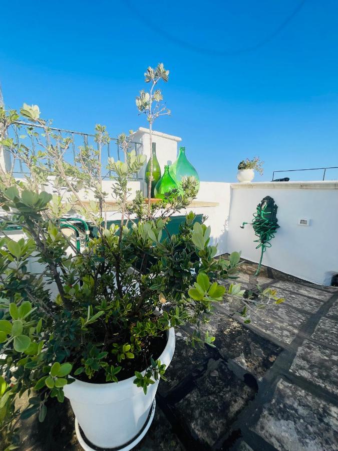 Holiday home White Stone- La Terrazza *